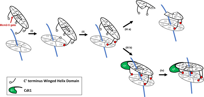 Fig. 7