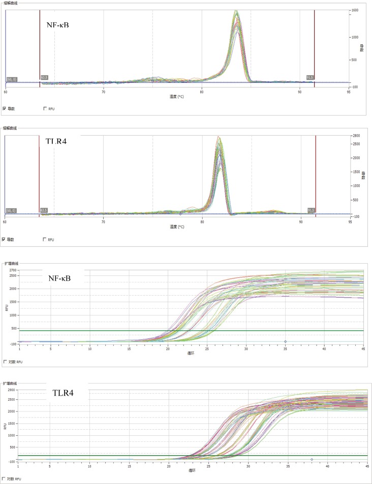 Fig.1.