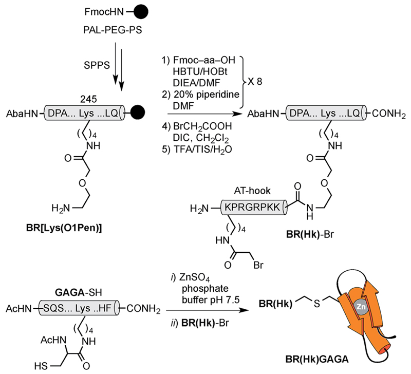 Scheme 3