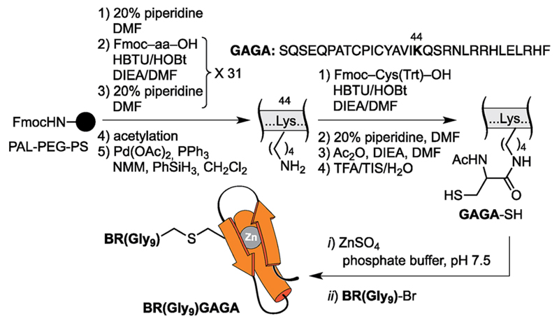 Scheme 2