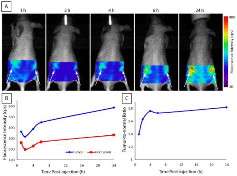 Figure 4