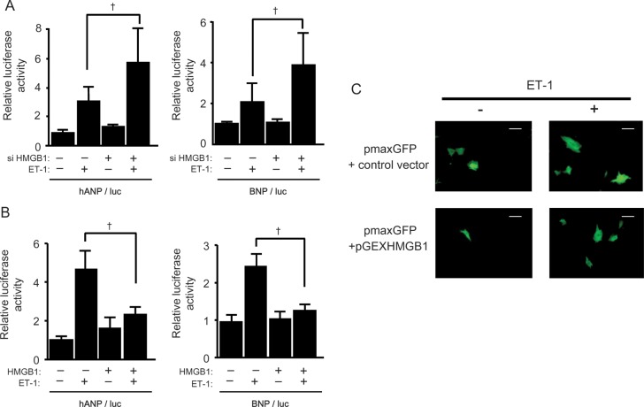 Figure 3