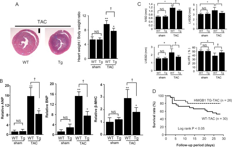 Figure 5