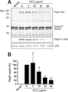FIG 4