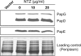FIG 2