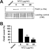 FIG 5