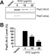 FIG 6