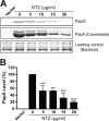 FIG 1
