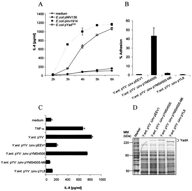 FIG. 2.