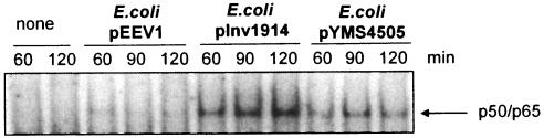 FIG. 4.