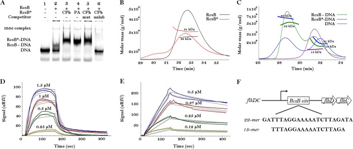 FIG 1 