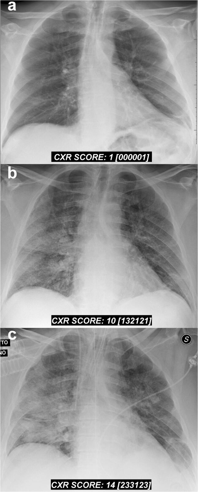 Fig. 3