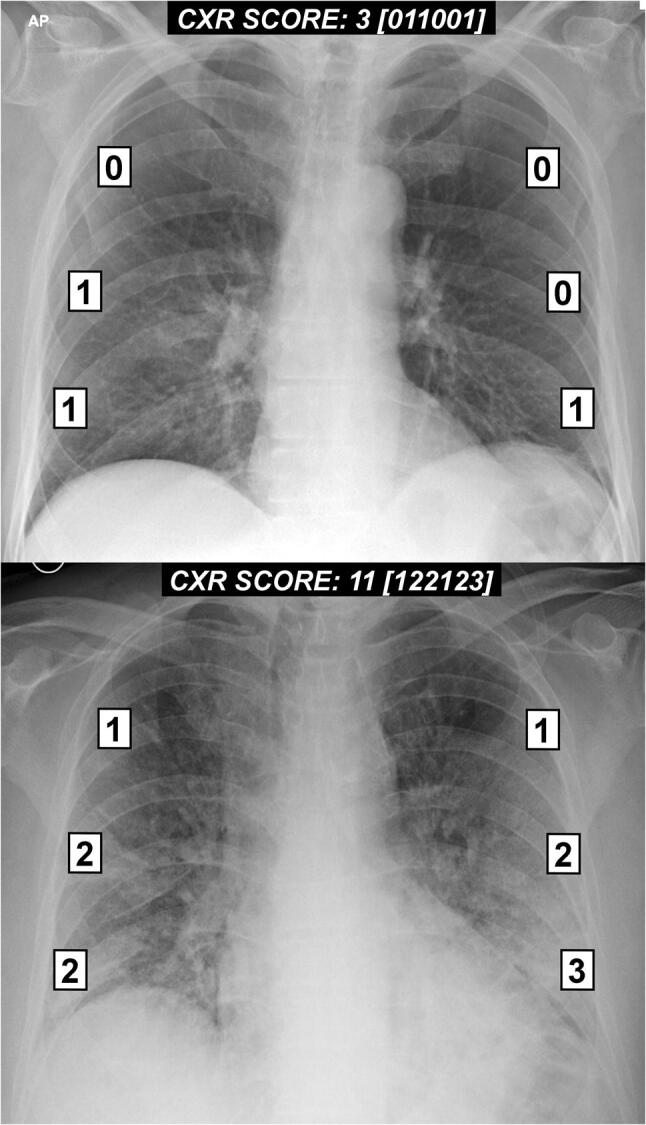 Fig. 2