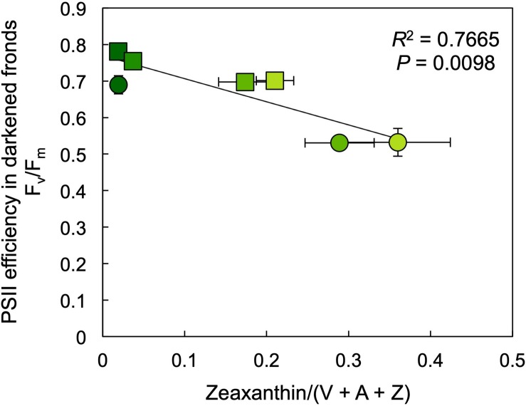 FIGURE 9