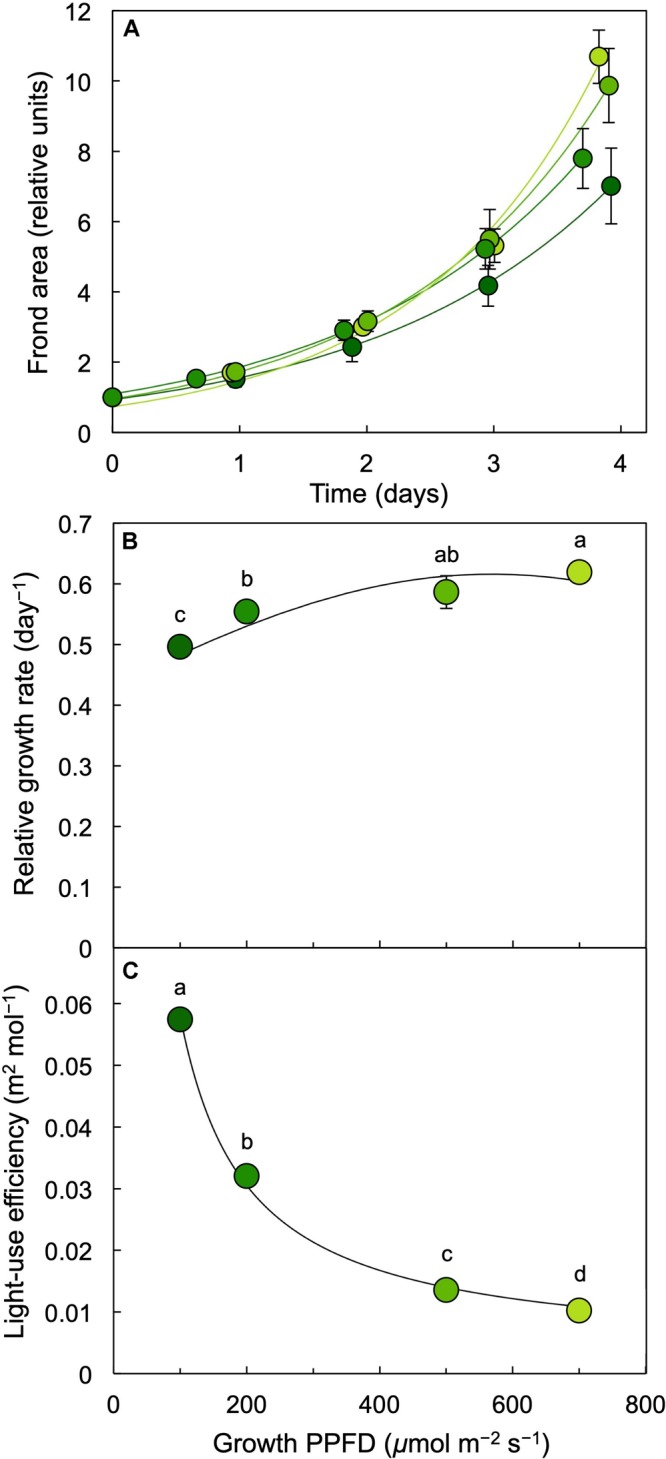 FIGURE 4