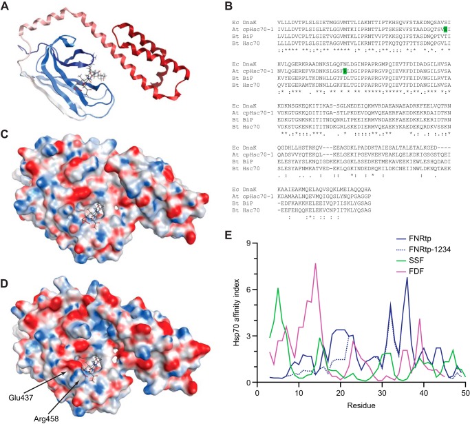 FIGURE 10.