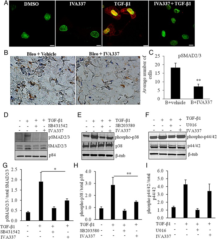 Figure 6