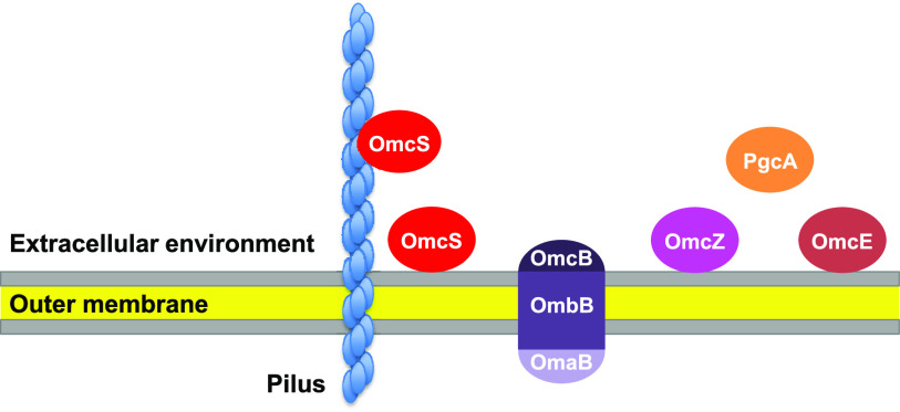 FIG 2