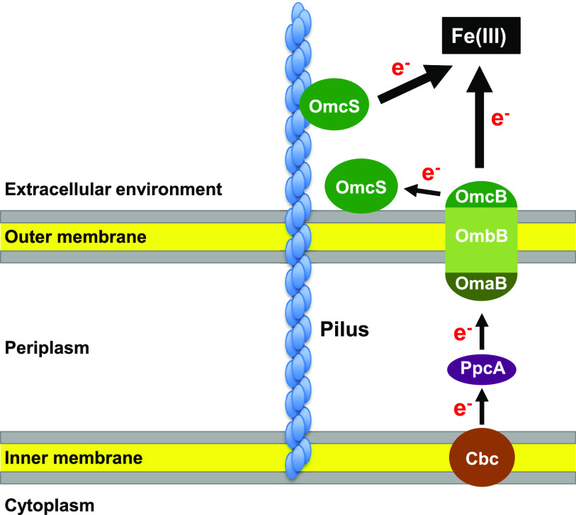 FIG 3