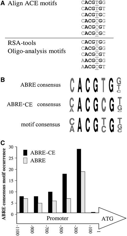 Figure 7.