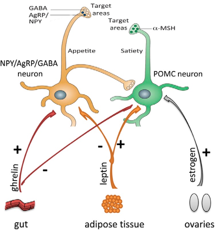 Figure 2.