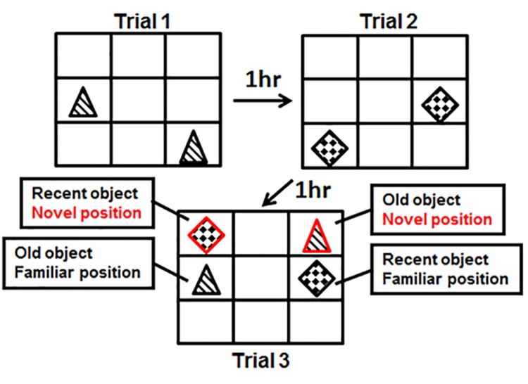 Fig 1