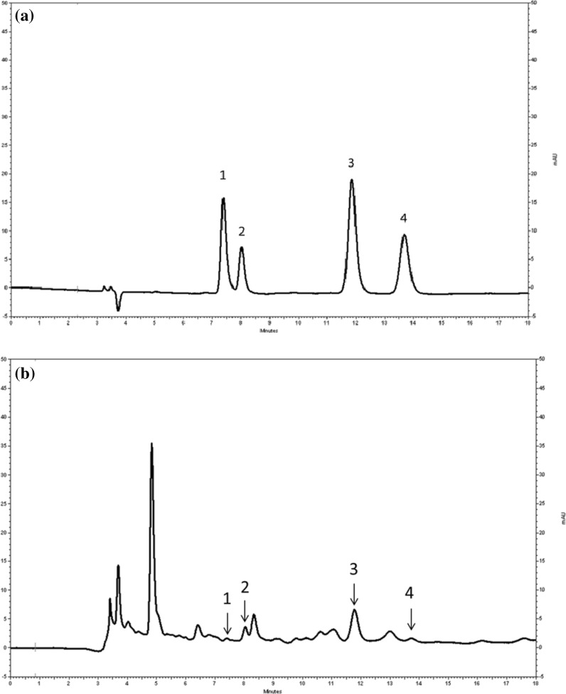 Fig. 1