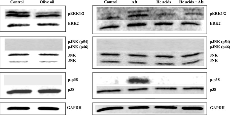 Fig. 6