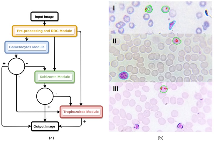 Figure 14