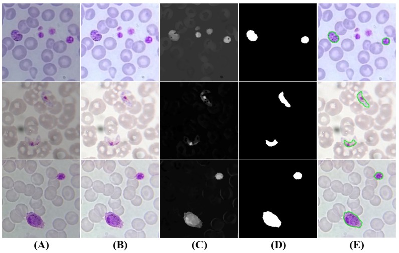 Figure 10