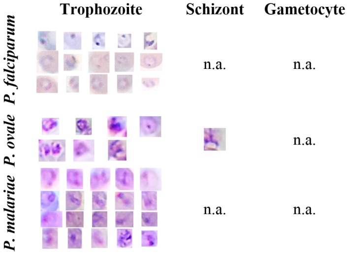 Figure 12