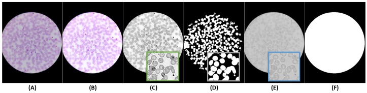 Figure 6