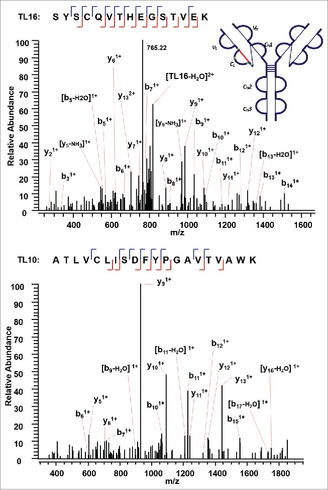 Figure 6.