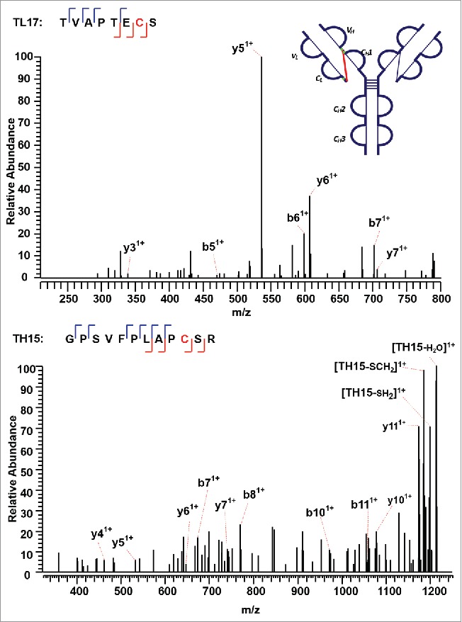 Figure 11.