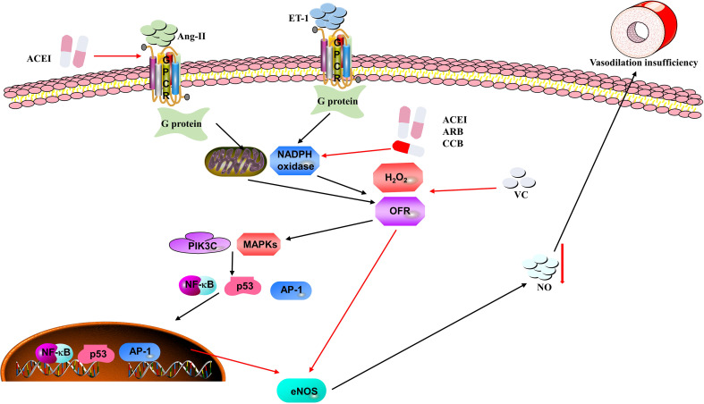 Figure 3