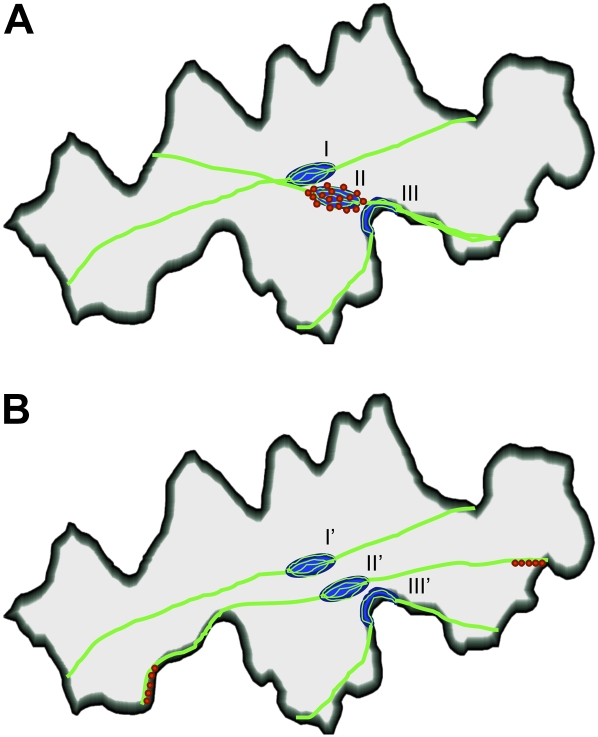 Figure 8.