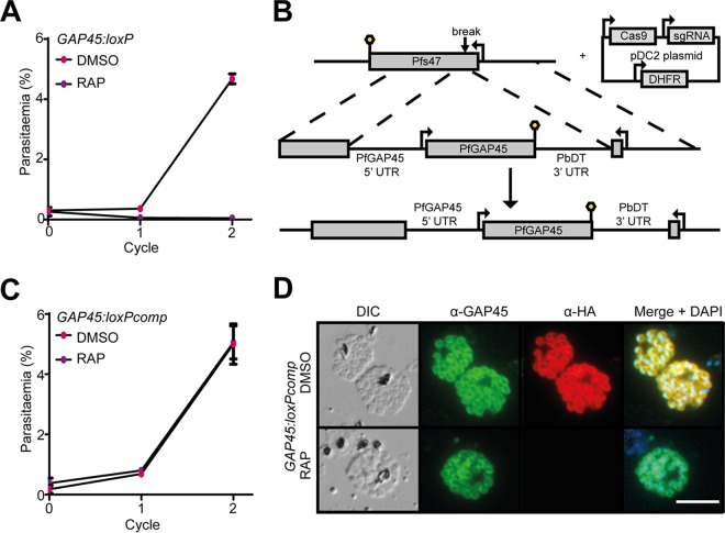 FIG 2 