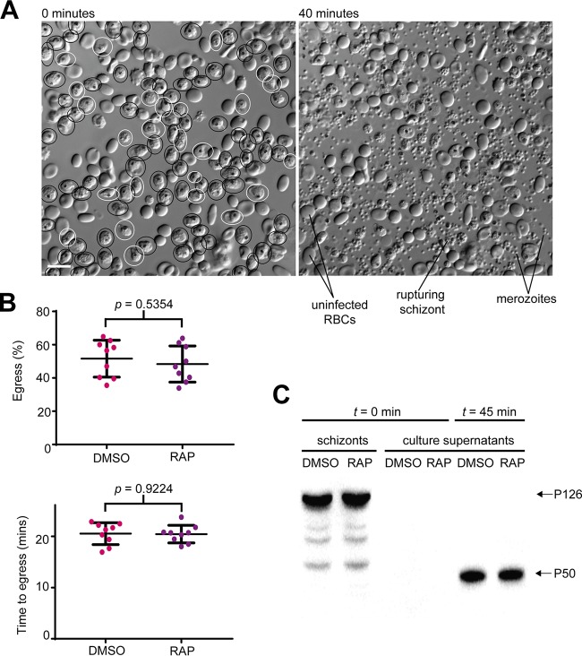 FIG 4 