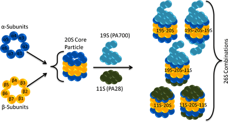 Figure 2: