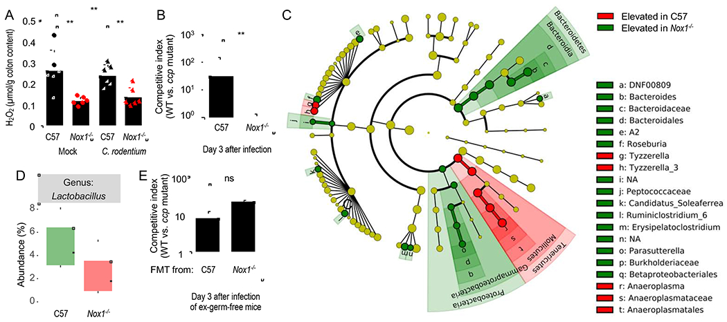 Figure 3: