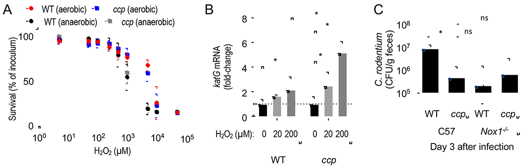 Figure 4: