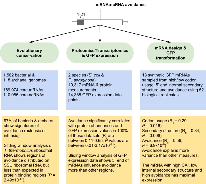 Figure 2—figure supplement 5.