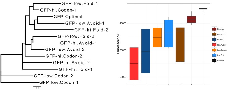 Figure 2—figure supplement 1.