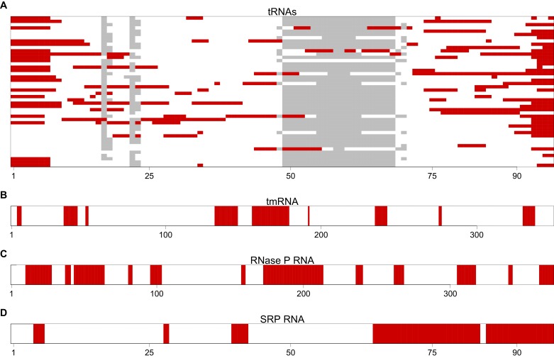 Figure 3—figure supplement 3.