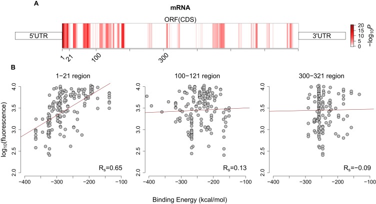 Figure 3—figure supplement 1.