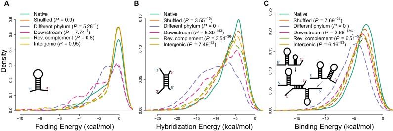 Figure 1—figure supplement 1.