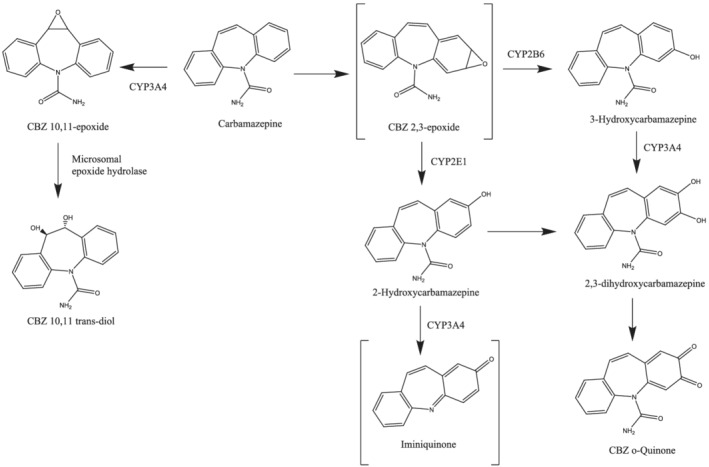 FIGURE 1