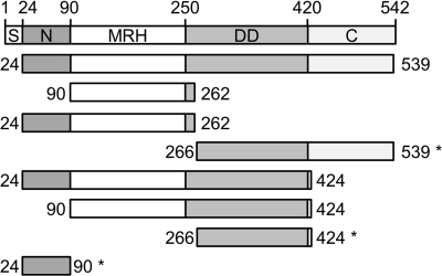 FIGURE 1.