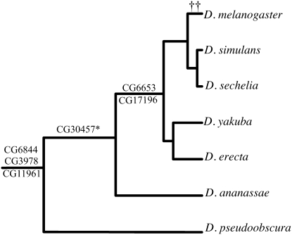 Figure 5.—