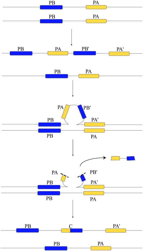 Figure 2.—